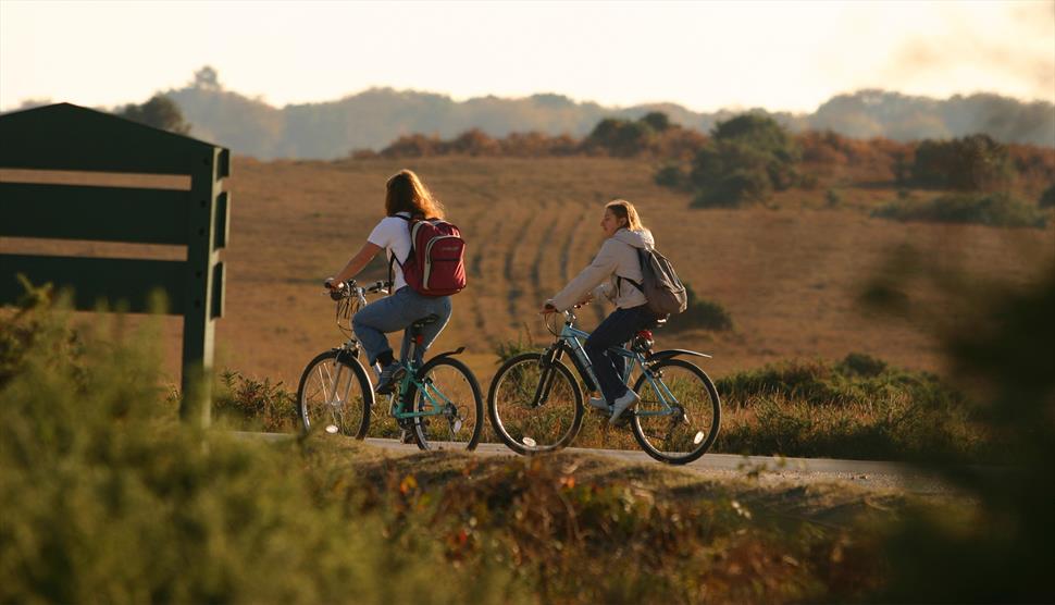 New Forest bike ride